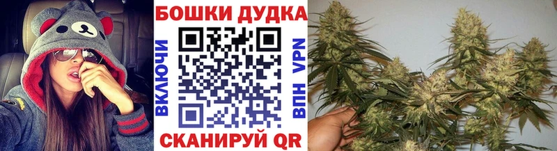 Виды наркоты Сенгилей A PVP  Псилоцибиновые грибы  Марихуана  Cocaine  ГАШИШ 