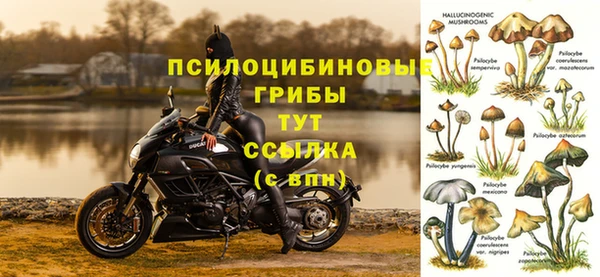 МДПВ Алзамай