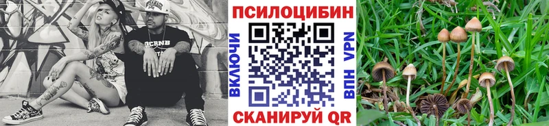 нарко площадка наркотические препараты Сенгилей Псилоцибиновые грибы мухоморы