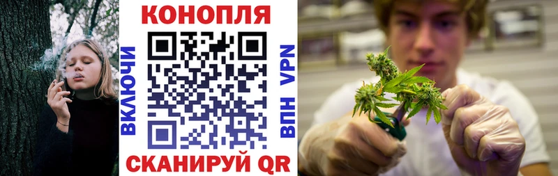 Бошки марихуана индика  где купить наркоту  Сенгилей 